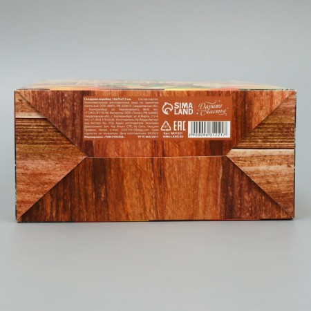 Folding box "Winter Mandarins", 16 x 23 x 7.5 cm, New Year-5