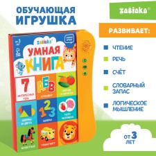 Teaching toy 