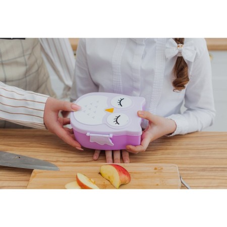 Lancer-bex Plastic with a spoon "Owl", 2 departments: 300 ml, 450 ml, color mix-9