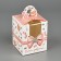 Box the team "Women's joys" 9 x 11 x 9 cm
