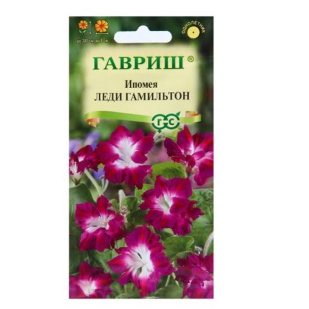 Flowers of the Ipomoye Tensor "Lady Hamilton", C/P, 0.3 g