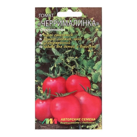 Seeds Tomat "Cherniamalinka", 5 pcs