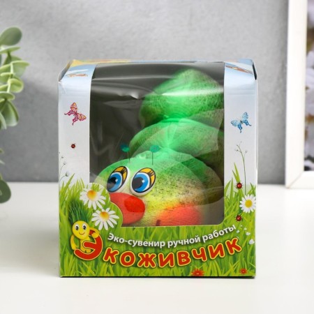 Growing gift Eco -Zenitika "Caterpillar 2" MIX Gift packaging-11