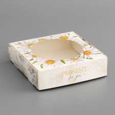 Box a gift team with a window, packaging, 