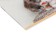 Album for drawing A4, 16 sheets of "meow-coting", covered cardboard, block 100 g/m2, mix