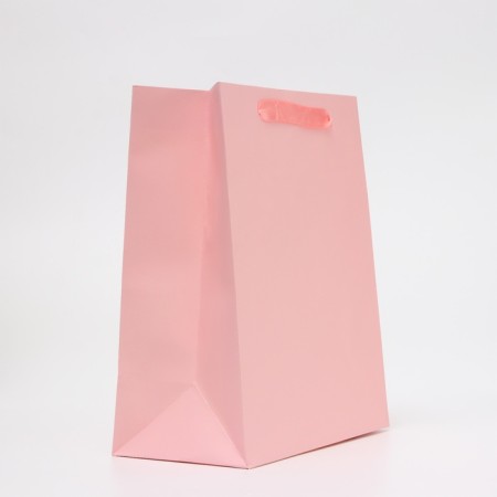 Laminated Lilac Package, Ml 23 × 27 × 11.5 cm-1