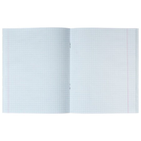 A set of notebooks of 4 pieces, 96 sheets in the Calligrata "Neon" cage, covered cardboard, offset block-2