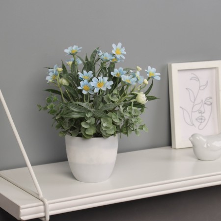 Bonsai in the pot "Freesia Premium Extra" 21x9 cm, mix-5