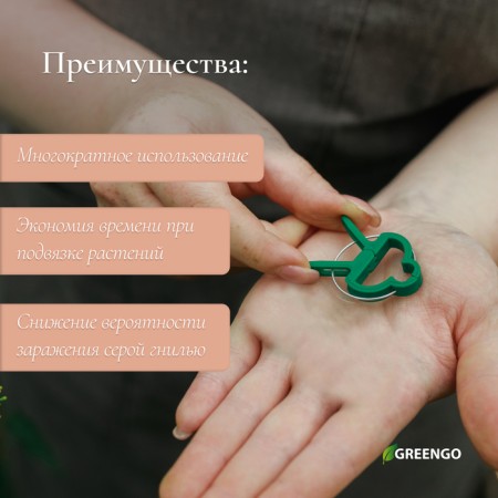 Set for mounting plants: Brongs large (6.5 cm) - 10 pcs., Small clothespins (4.5 cm) - 10 pcs., Greengo-2