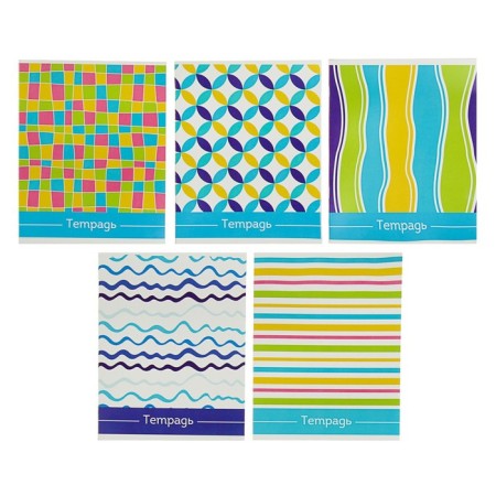 Notebook of 48 sheets in the Calligrata "Ornament" line, cover coated cardboard, block No. 2, whiteness 75% (gray sheets), mix