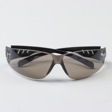 Glasses Protective "Source" open type classic (transparent gray) with a black arc