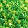 Sprinking confectionery figure "Stars": Green, 25 g.