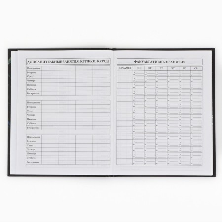 School Diary 1-4 class, in a solid cover, 48 liters "September 1: butterflies"-6
