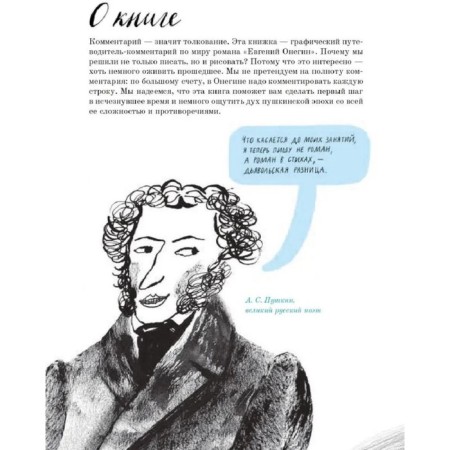 Eugene Onegin. Graphic guide. Oleinikov A.-5