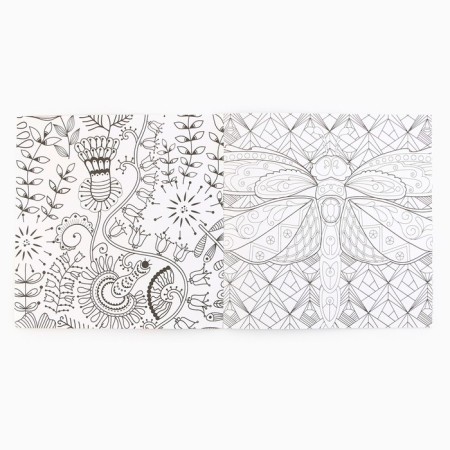 Coloring - anti -stress "Fantasy Flight", 20 p.-4