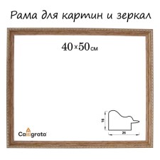 Frame for paintings (mirrors) 40 x 50 x 2.6 cm, plastic, calligrata 6429, color wood with gold