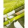 Texrepublic blanket, size 200x220 cm, green color