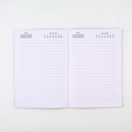 Gift set "since February 23. Strong spirit" A5 diary, 80 sheets, stickers and pen-3