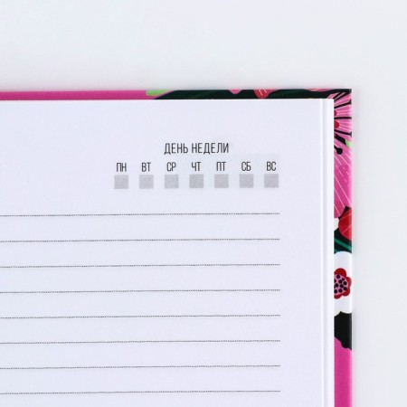 Gift set "Best Educator": A5 Diary, 80 sheets, thermostatic 350 ml-6