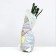 Seedling rose Diva series "premium", 1 pc, spring 2024