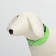 Collar with backlight, charging from USB, size XS, Osh 28-38 cm, 3 modes, green