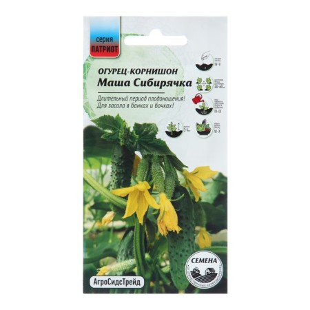 Cucumber seeds "Masha Siberian F1" Kornishon, 10 pcs