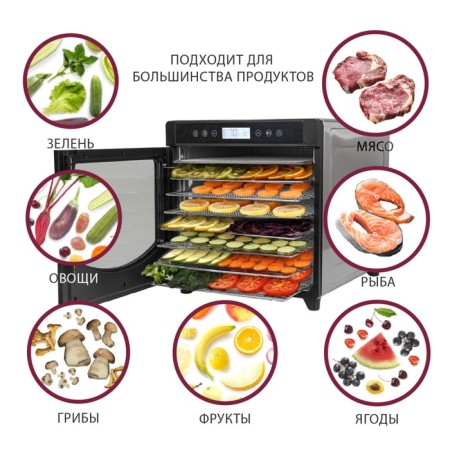 Pioneer FD108, 700 W, 10 tiers, silver vegetables and fruits.-2