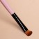 Set of makeup brushes "Soft", 5 objects, color mix