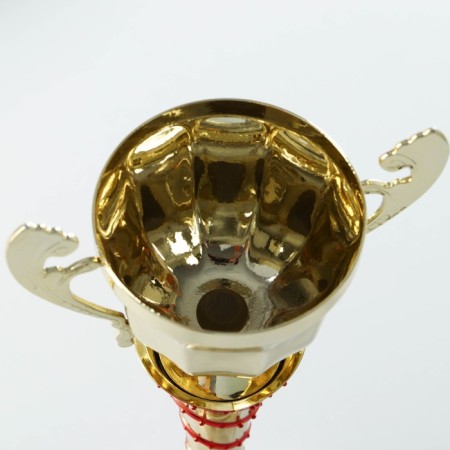 Cup 140C, award figure, gold, a stone, 28 × 13.5 × 6 cm.-5