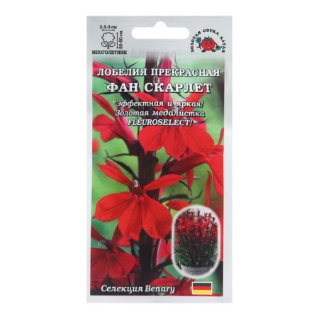 Fan Scarle Lobelia Flowers, 5 pcs
