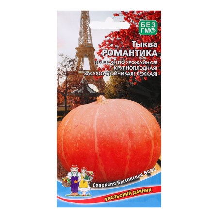 Pumpkin seeds "Romance - large -fruited", 6 pcs