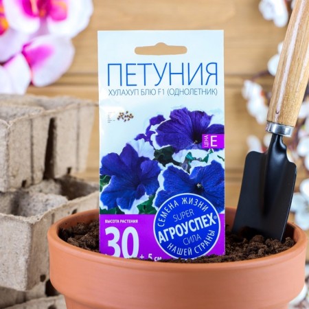 Flowers of Petunia "Hulahup Blue" F1, o, 10pcs