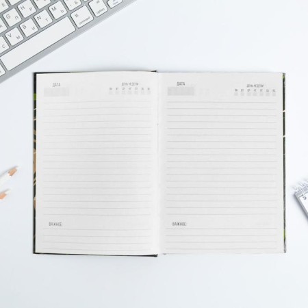 Diary "Leo Character and Strength", A5, 160 sheets-2