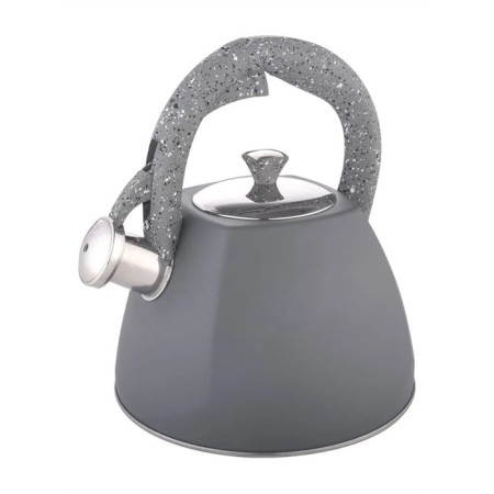 Metallic kettle Winner WR-9209, 2.7 L