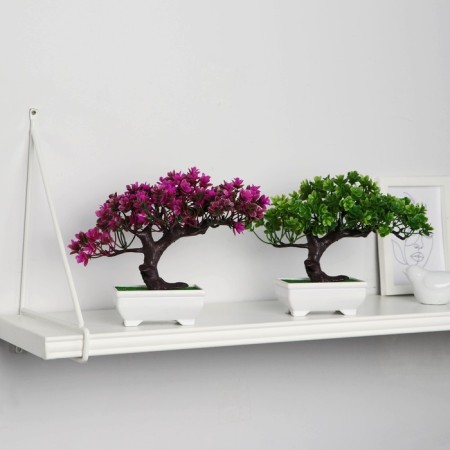 Bonsai in the pot “Molch multicolor” 12x16 cm, mix-2