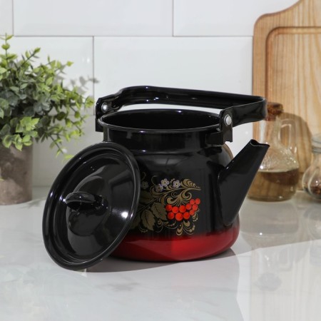 A kettle with a loop "Ryabina", 2.3 l, enameled cover, induction-1
