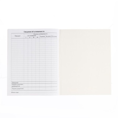 Diary for grade 1-11, in a soft cover, 48 liters, gravity farz-4