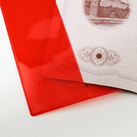 Cover for passport from color PVC "Passport"-2