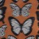 Sticking plastic interior "translucent butterflies" black set 18 pcs 5; 6; 7 cm