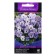 Flower seeds violet "Floral Power Sky Blotch", 10 pcs