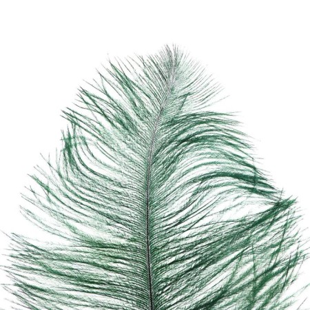Feather for decor, length from 45 to 50 cm, dark green color-1