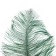 Feather for decor, length from 45 to 50 cm, dark green color