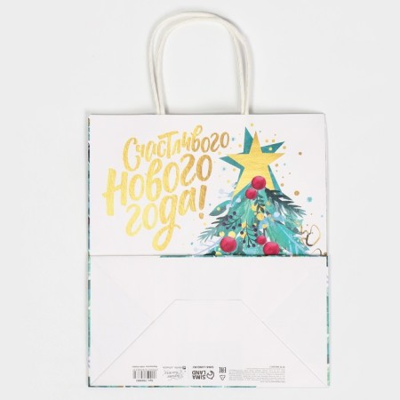 Package Gift Craft "Star", 22 x 25 x 12 cm, New Year-6