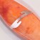 Caracate Caracate Plant "Grapefruit", 15 cm, 19 x 11.5 cm