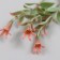 Artificial plant for creativity "Hippeastium" set of 6 pcs pink 11 cm