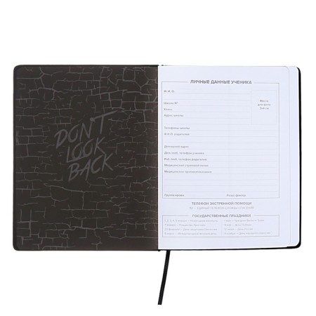School diary for grades 1-11, dragon's eye, hard cover, artificial leather, application, pancake embossing, foil embossing, universal cheat sheet, 48 sheets, block 80g/m2-5
