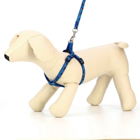 The stolen set "Militari", leash 120 x 1 cm, OG 23-35 cm, blue-1