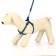 The stolen set "Militari", leash 120 x 1 cm, OG 23-35 cm, blue
