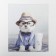 TAO11 “Dog in a hat” 15 × 18cm, beige color