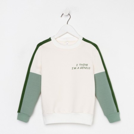 Sweatshirt for a boy, the color is gray-green, height 110 cm-4